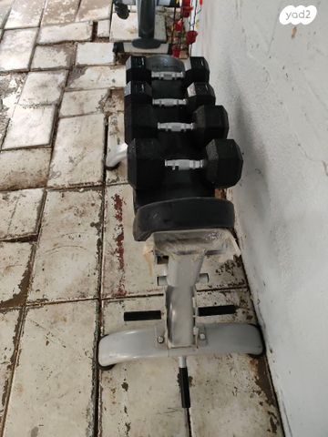 משקולות
