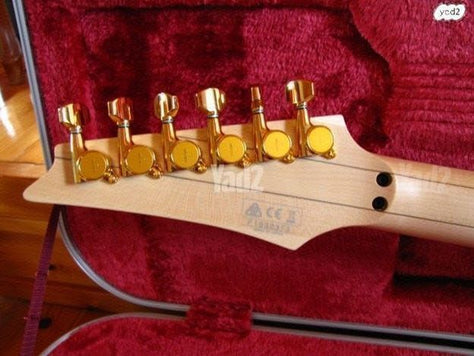 Steve Vai "PIA" signature