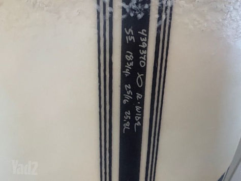 גלשן של AL MERRICK