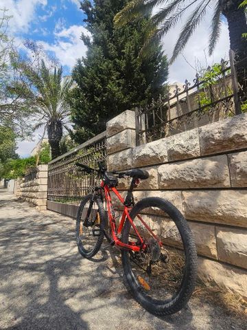 אופני סקוט