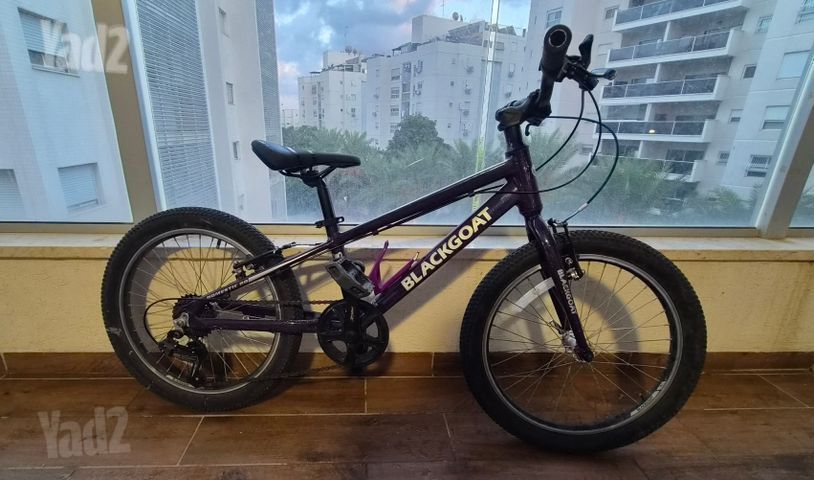 אופניי ילדים 20"
