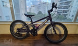 אופניי ילדים 20"