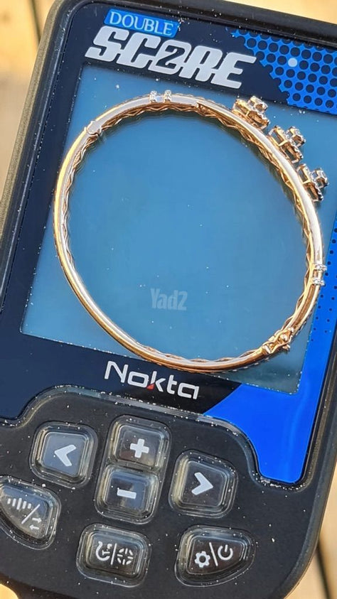 גלאי מתכות NOKTA DOUBLE SCORE