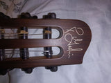 Godin multiac