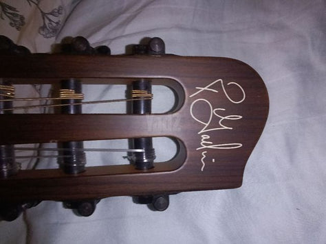 Godin multiac