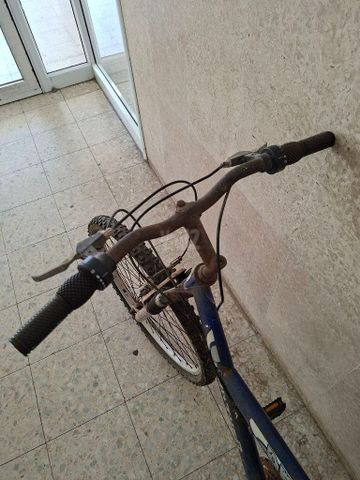 אופניים