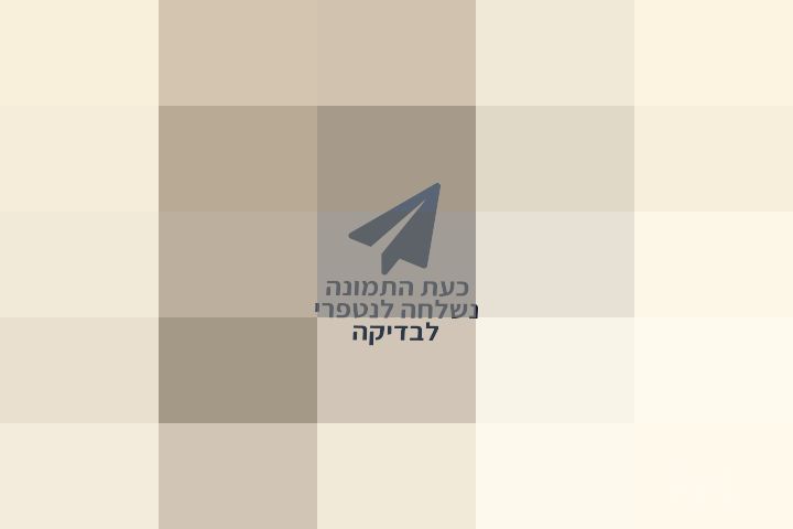 מצלמת קנון 740