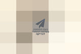 מצלמת קנון 740