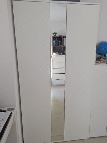 ארון בדגים