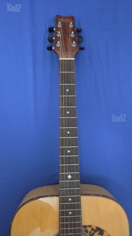 גיטרה Washburn D12S MEL+ נרתיק