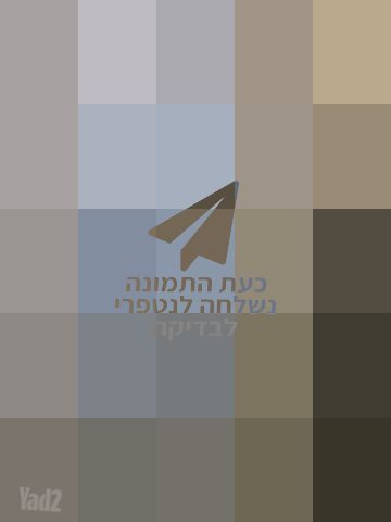 דלת אלומיניום