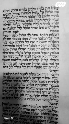 ספר תורה חדש