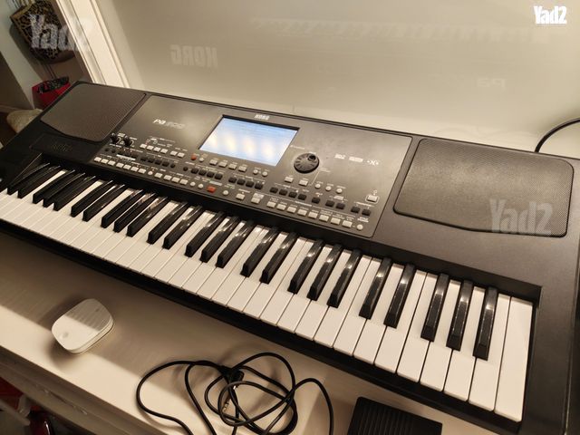 אורגן קורג pa 600