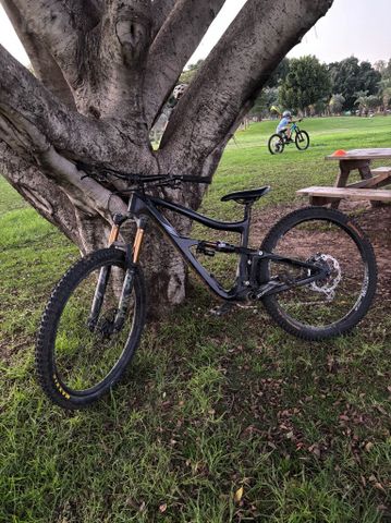 אופני ibis ripmo שנת 2020