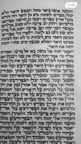 ספר תורה חדש
