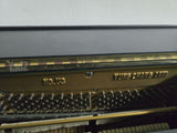 פסנתר Young Chang