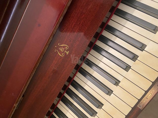 STEINWAY
