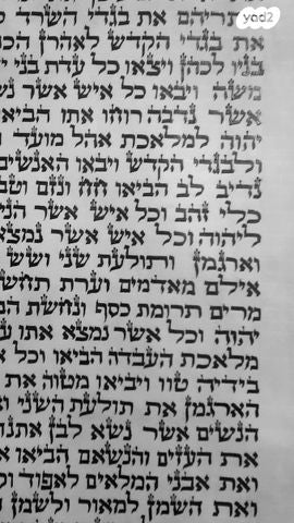ספר תורה חדש