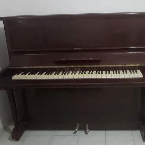 STEINWAY
