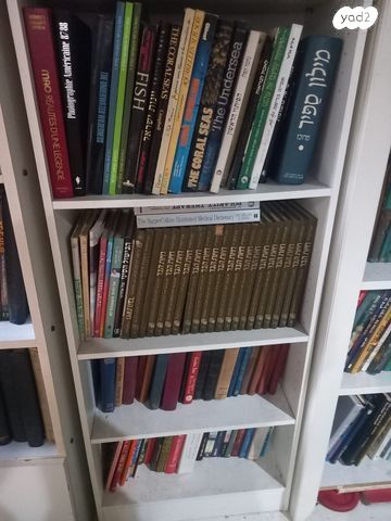ספרים רבי מכר